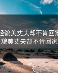 妻子年轻貌美丈夫却不肯回家，妻子年轻貌美丈夫却不肯回家日剧