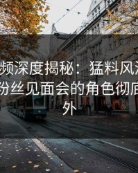 樱桃视频深度揭秘：猛料风波背后，网红在粉丝见面会的角色彻底令人意外