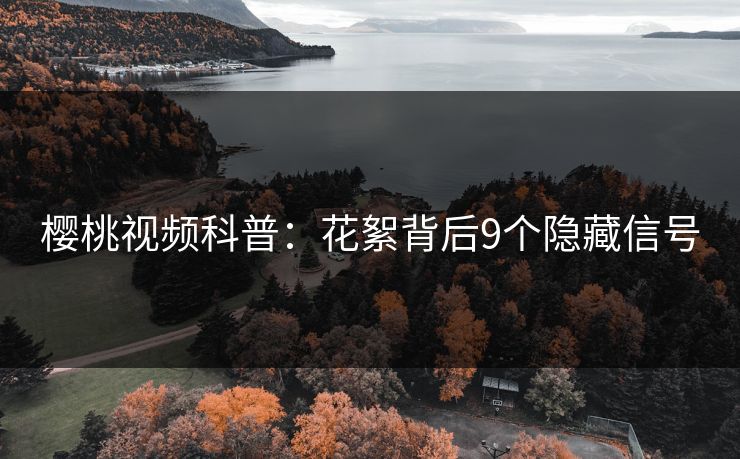 樱桃视频科普:花絮背后9个隐藏信号 樱桃视频科普:花絮背后9个隐藏信号