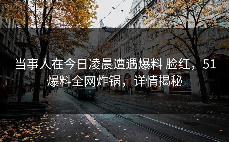 当事人在今日凌晨遭遇爆料 脸红,51爆料全网炸锅,详情揭秘 当事人在今日凌晨遭遇爆料 脸红,51爆料全网炸锅,详情揭秘